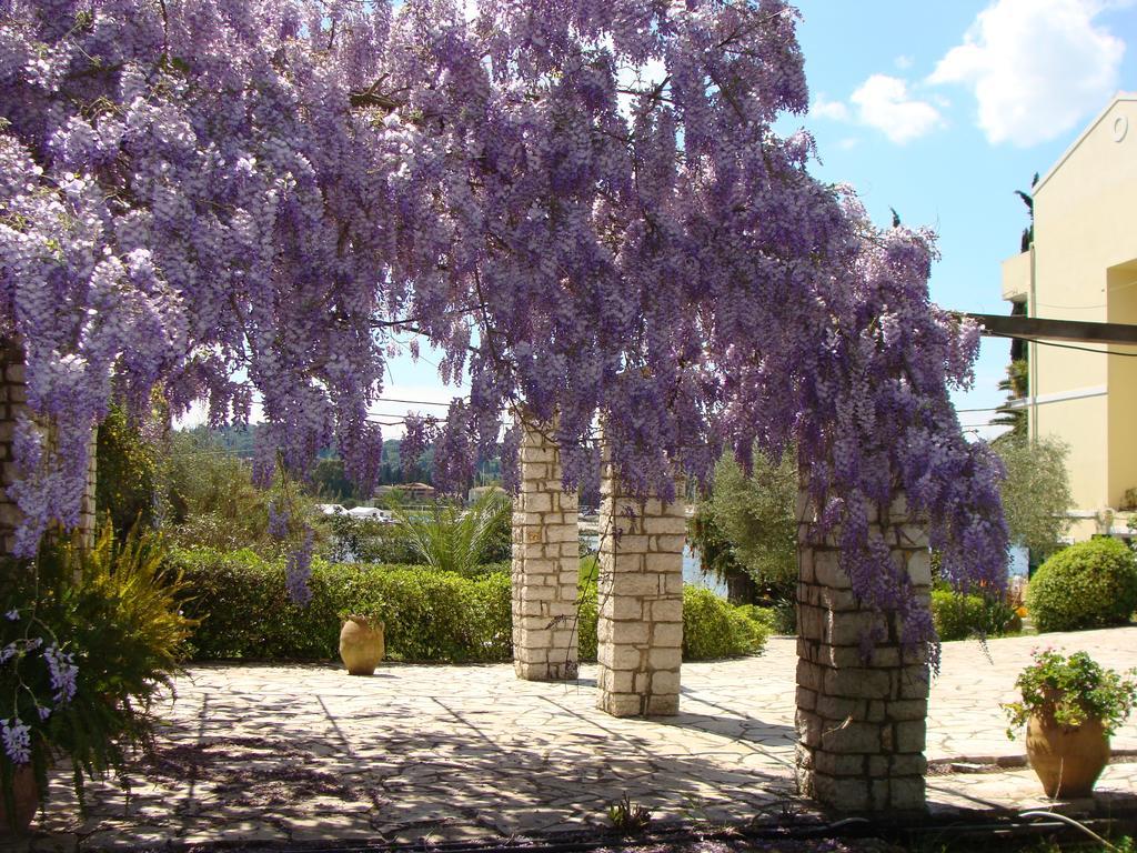 Gerekos Island Apartments Kontokali Cameră foto